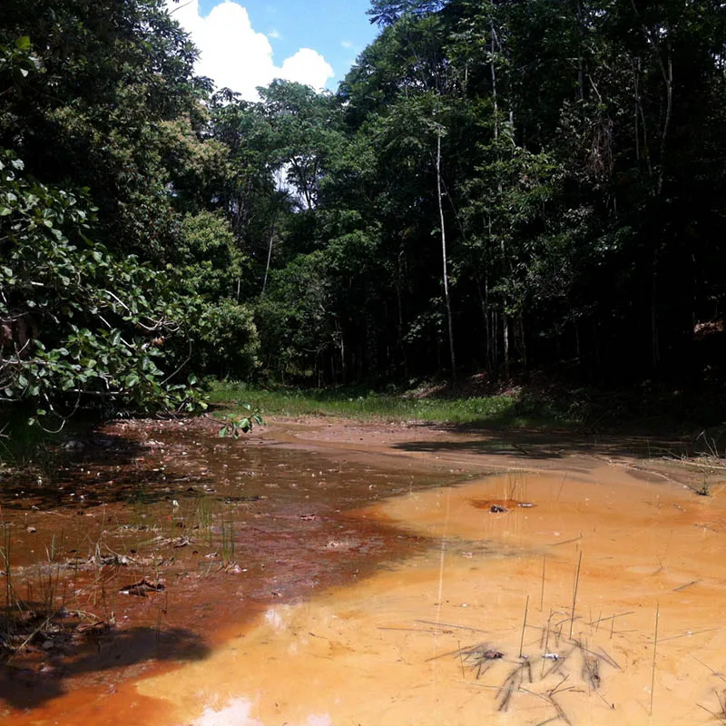 Oil-pollution-07