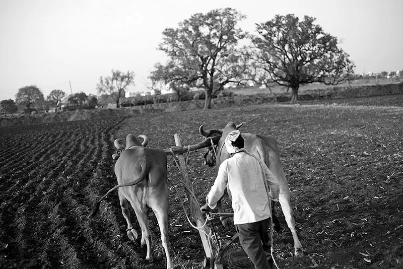 Pani-Water-011