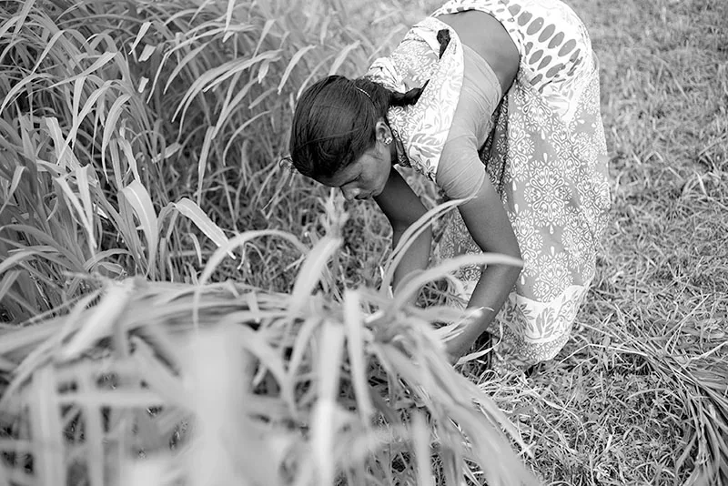 Pani-Water-013