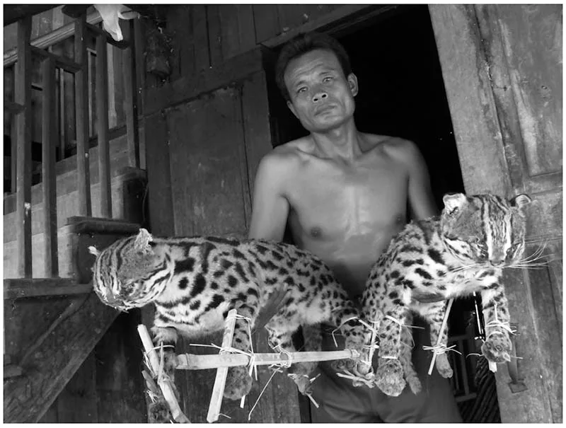 Burma in Transition
