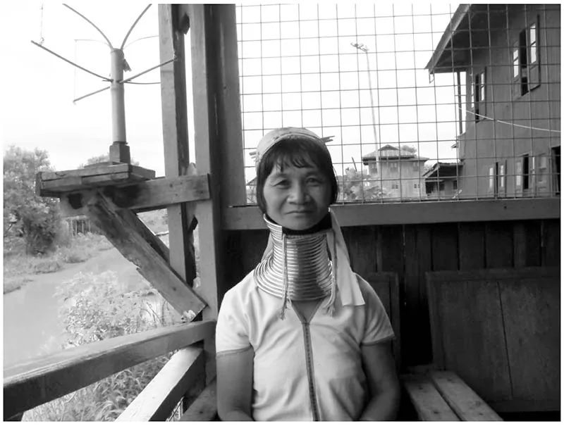 Burma in Transition