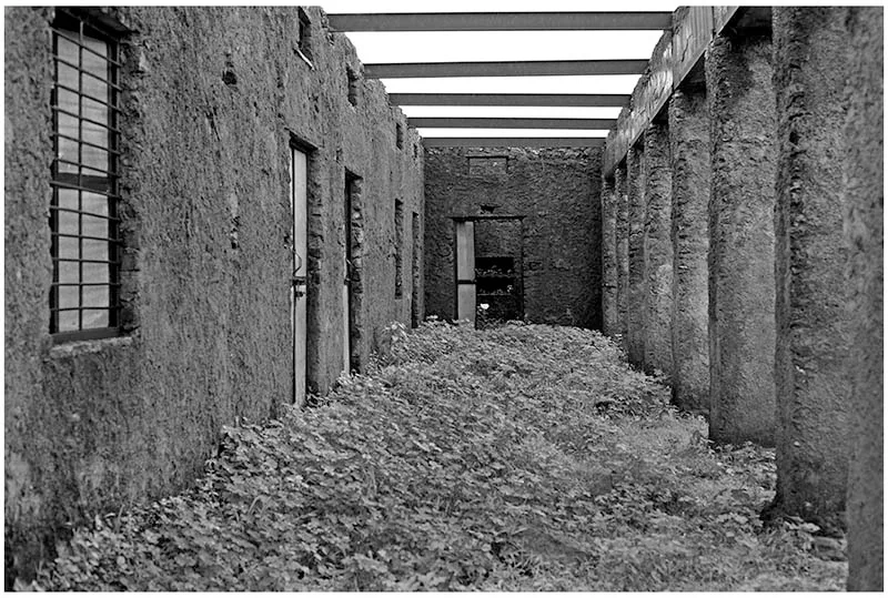 Right-to-education-08