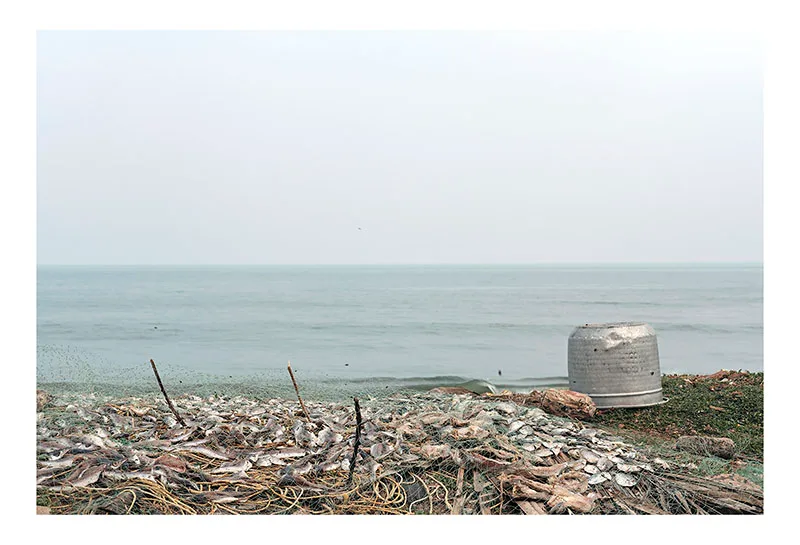 Coastal-Erosion015